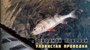 Отводной поводок - проводка для начинающих, окунь осенью в октябре 2020.mp4