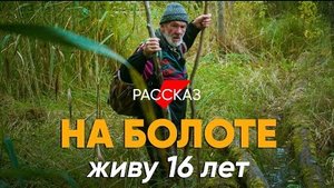 Увидеть весь мир и спрятаться на болоте #рассказ моряка-отшельника