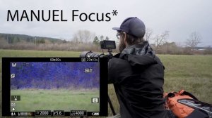 Photographing OWLS using Nikon Z9 | Camera Settings to get SHARP images | Wildlife Photography