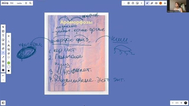 Тип Кишечнополостные (Стрекающие) | ЕГЭ