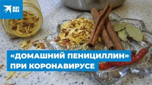 Готовим «домашний пенициллин» при коронавирусе