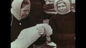 Группа "Зверобой"  -
   "Мой Ленинград"
