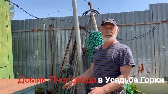 Где взять пчел!? Они сами прилетят к вам, если сделать все правильно! 🐝 1