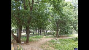 Комната 17,2 кв м в Троицке (Новая Москва)