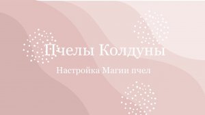 О настройке магии пчел «Пчелы Колдуны» баланс жизни