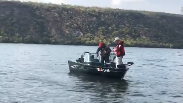Сом на 25 кг, сентябрь 2020 год. Рыбалка на Днестре. Tict mbite и приманка джиг на 10г. смотреть онлайн