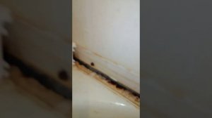 плинтус для ванны
