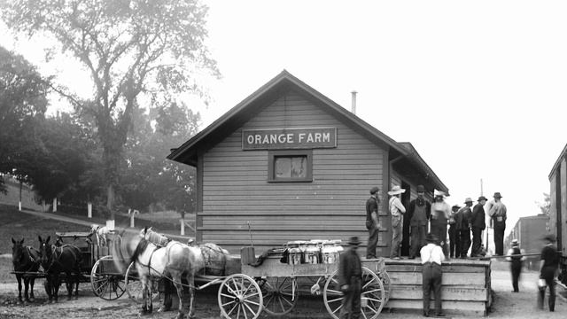 Spoiled Milk, Part Two: Orange County's Dairy Industry from 1842 to the Present Day