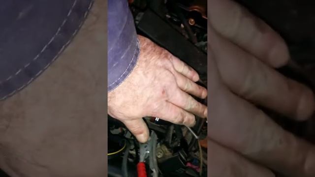 ВЕБАСТО на Ниссан Мурано