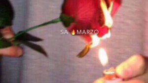 Собар Дехьа сих ма ло 😻♥️🔥