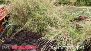 Эвакуация трактора из болота.