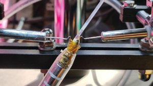 Инструментальное осеменение пчелиных маток