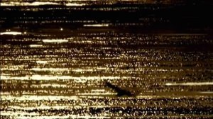 В МИРЕ ЧУДЕС.Тайны зеркального дна