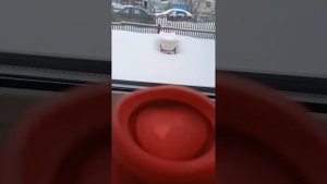 КАК СДЕЛАТЬ ВОЛНУ НА JBL КОЛОНКАХ