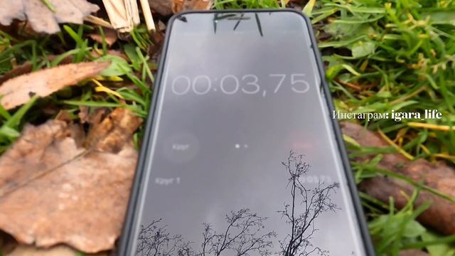 Живота не будет! Если будешь делать план ку! смотреть онлайн