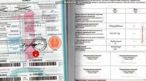 Казахское разрешение (дозвол). Как заполнить разрешение (Дозвол) на перевозку из/на/через Казахстан