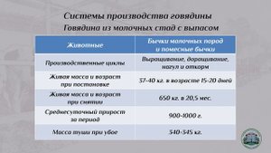 2 3  Системы производства говядины