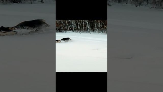 Вот это скорость!