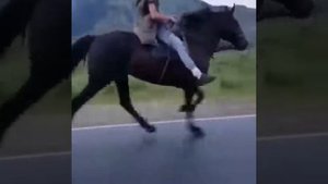 иноходец карачаевской породы.