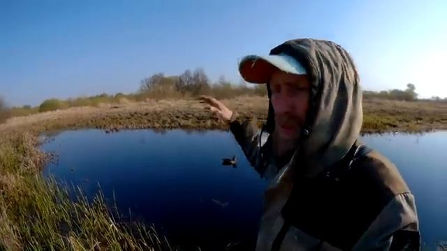 КРАСИВЫЕ КАДРЫ. ОХОТА С ПОДСАДНОЙ. ВЕСНА 2019 смотреть онлайн