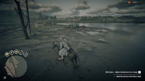 RDO Ондатра, Крыса, Баран, Пустынный шалфей | RDR 2 ГАЙД