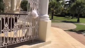 PARADISUS PRINCESA DEL MAR ADULTS ONLY 5*, CUBA