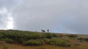 Окинский район