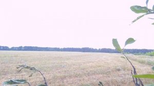 ОХОТА НА ВЯХИРЯ//ОХОТА С 20 м КАЛИБРОМ