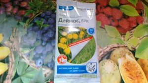 Деймос. Гербицид для очистки газонов от сорняков.