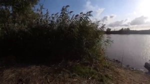 Рыбалка с ночёвкой. Ловля Сазана на макуху