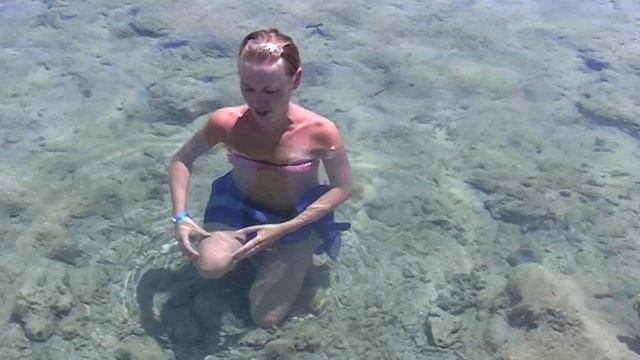 Отдых в Египте, Шарм-Эль-Шейх #7. Море, пляж. СХОДИМ С УМА!