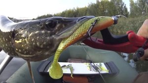 ЛОВЛЯ ЩУКИ В СЕНТЯБРЕ | ЩУКИ АТАКУЮТ | КРУПНЫЙ СИЛИКОН