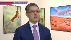 Выставка «Дикая природа Бразилии» открылась в Русском музее фотографии