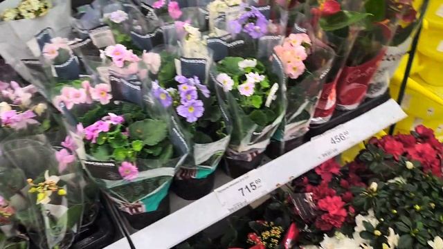 По магазинамКупили телевизор.