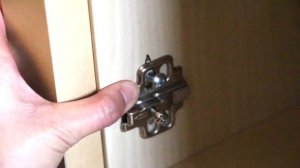 How to Assemble the IKEA Kallax Insert with Door