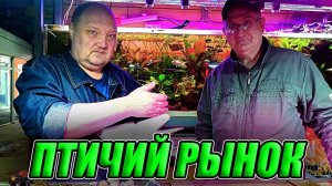 Птичий рынок Садовод. Цены на аквариумных и речных рыбок. Май 2023