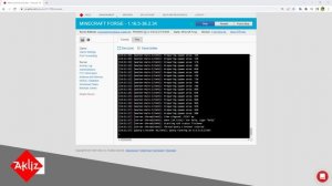 Akliz Hosting- How to Create a Custom Forge Server -Tutorial