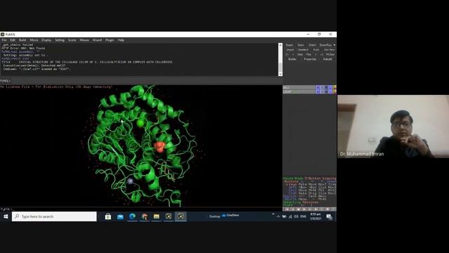 PyMOL for beginners смотреть онлайн
