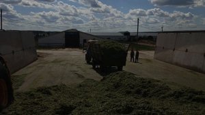 закладка суданской травы на сенаж 21.07.22