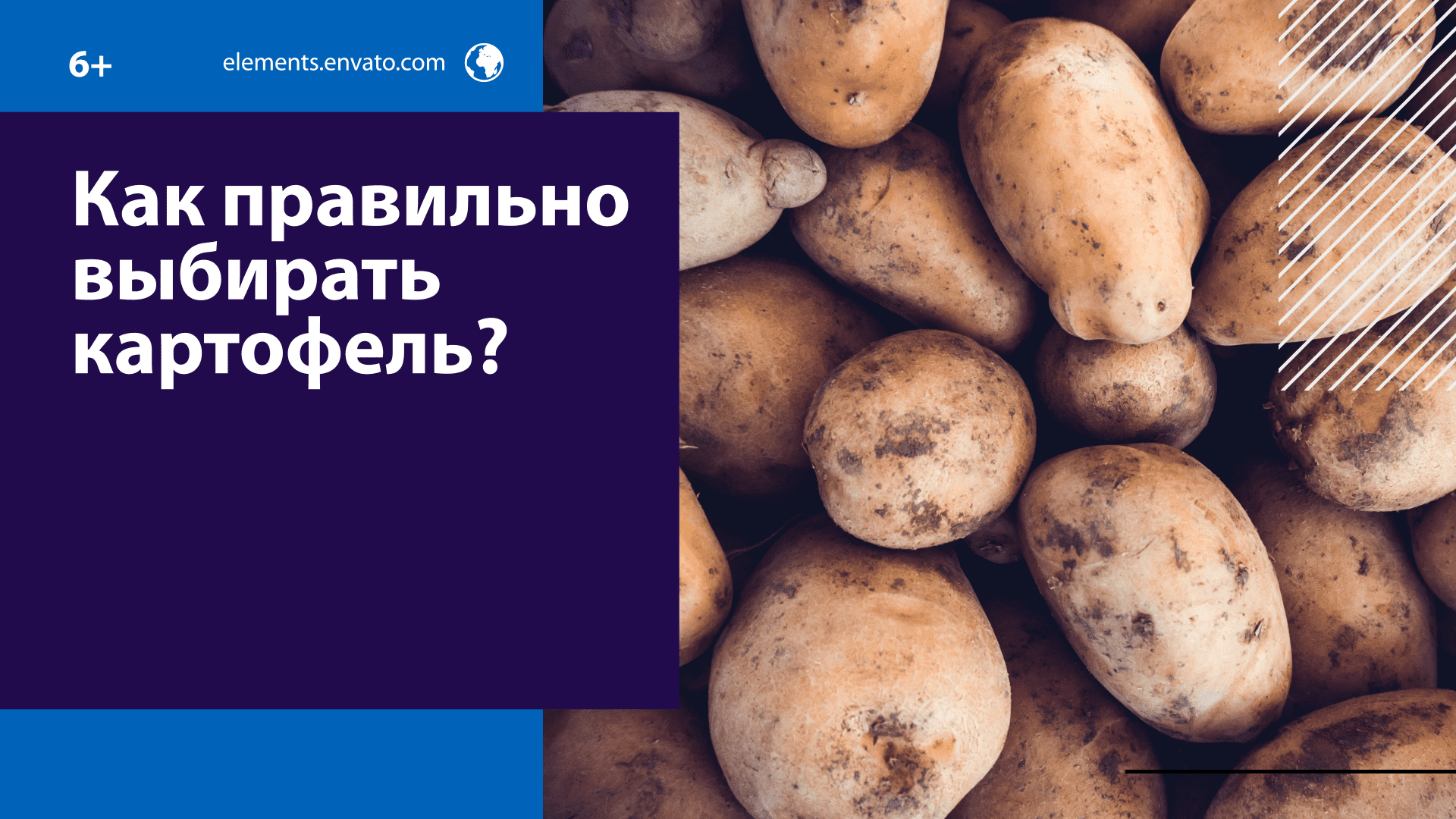 Как правильно выбирать картофель — Москва FM