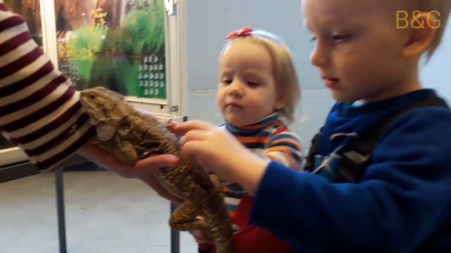 Контактный зоопарк. Zoo смотреть онлайн