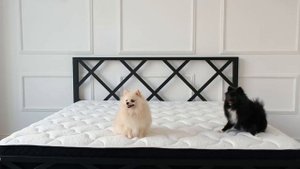 XMATRAS Индивидуальные матрасы ортопедические