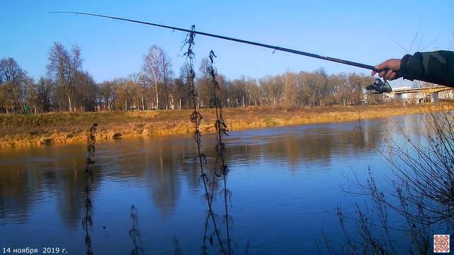 ДНЕПР - ОРША - спиннинг  - не клюёт   (14 .11 . 2019 г. )