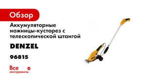 Ножницы-кусторез DENZEL с телескопической штангой G801E.mp4