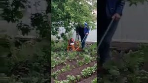 Самая лучшая самоделка для огорода.