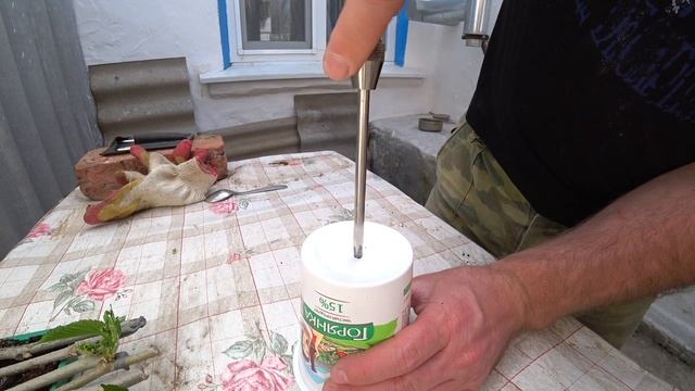 Сюжет из жизни в деревне о том, как я посеял семечки яблока Голден Делишес и что из этого получилос смотреть онлайн