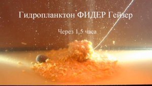 Растворение таблетки Гидропланктон «Фидер Гейзер»