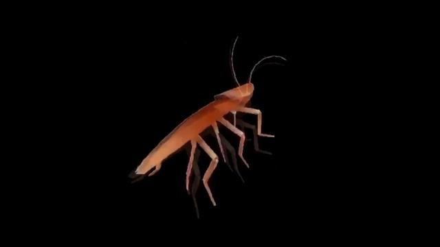 Таракан Сергей флексит под Весело по полю бегает кабанчик смотреть онлайн