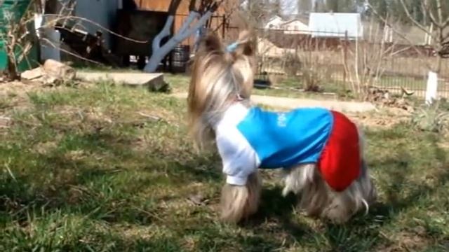 Линда на даче1мая09 смотреть онлайн