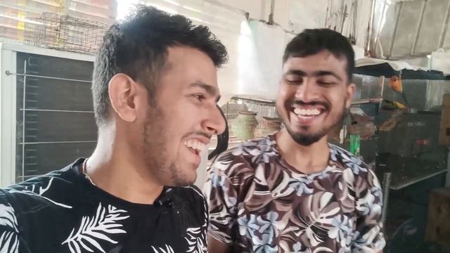 WHolesale and Premium quality Birds Aviary in Asansol смотреть онлайн